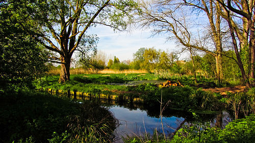 River Wandle